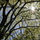 0960B527-4580-4F79-98F3-E0A427B933FC