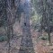 二上山ふるさと公園展望台への階段