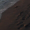 P1160881