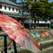 第１６回倉敷春宵あかりの先撮りです！