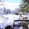 雪の兼六園徽軫灯籠