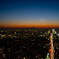 TOKYO CITY VIEW