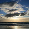 At Piha beach in New Zealand