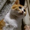 02965CA7-1FD3-4A25-8EE3-11BD9F421B07