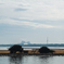 また葛西臨海公園