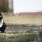 さくらでちゅよ