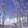 束の間の晴れ間Ⅱ