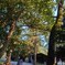 公園