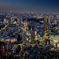 TOKYO NIGHT VIEWS - 46