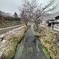 忍野八海
