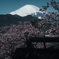 西平畑公園