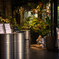 Botanical cafe
