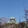 梅林と大阪城