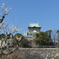 梅林と大阪城