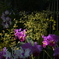 C2AA913D-0BA3-44ED-9FD6-2A1736BE8865