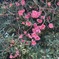 879D290F-74B7-4E2A-A17B-3413CC782CE8
