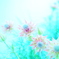君の名は