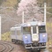 桜とオホーツク