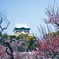大阪城