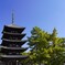 興福寺 五重の塔