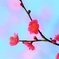 　春が来た　♪