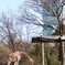 天王寺動物園