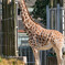 天王寺動物園