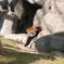 天王寺動物園