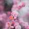 EB75425C-AB6A-42CB-9954-046288656BD6