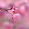 3DD9F5CD-58A6-430D-8D16-2B6F29226091