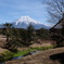 富士山が見える村