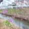 小さな春