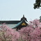 結城神社