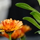町内花散歩117