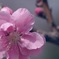 陽春…2