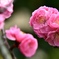 花お菓子はいかがですか〜‼︎