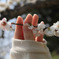 春、触れる指先。
