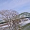 旭橋