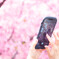 河津桜を撮る。