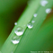 雨上がり