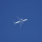 Qatar Cargo / QR8930