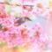 ここへおいでよ