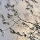新しい芽