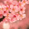 花曇り３