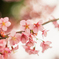花曇り４