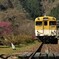 春の安野    花の駅公園～