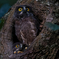 6D_ISO20000