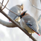 60D_ISO2500
