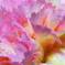pastel colors