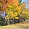 桜ヶ丘公園　宮城学院女子大学前